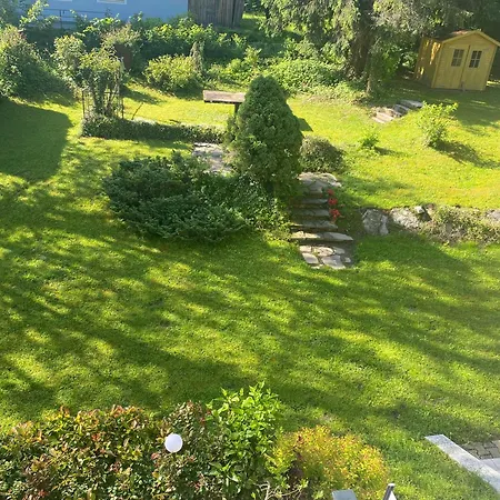 Efeunest Velden